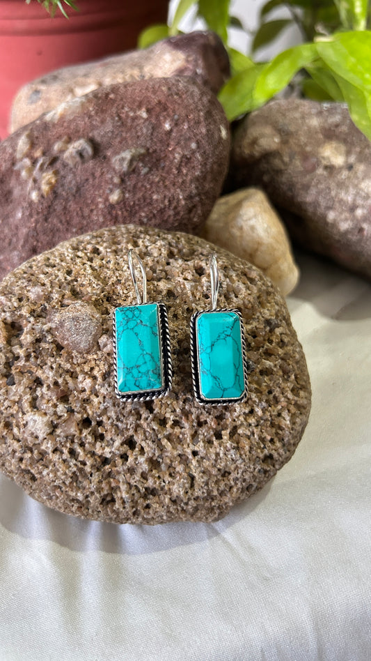 Gemstone Oxidised Hook Earrings